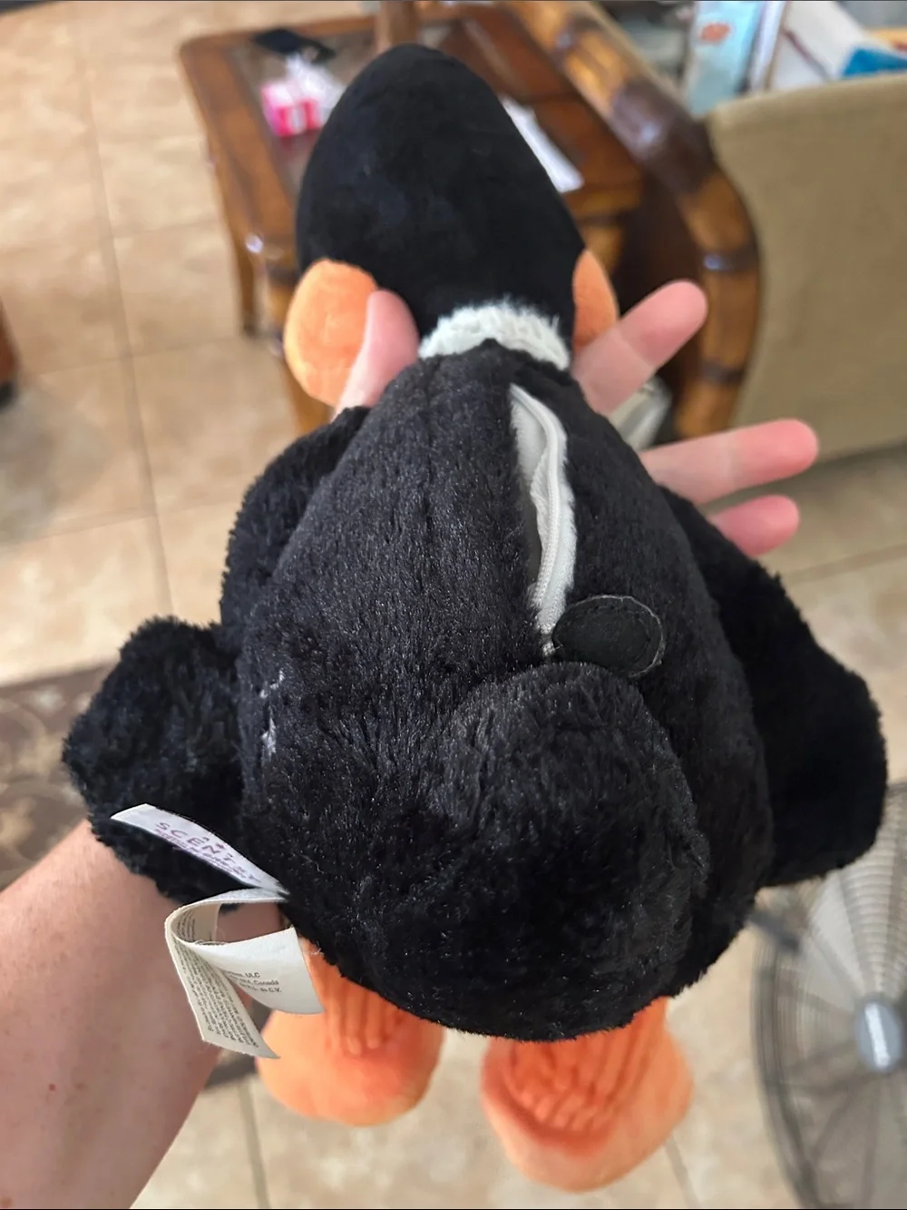 Warner Bros. Daffy Duck Plush Pet Toy - Black & Orange